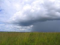Heavy Rain