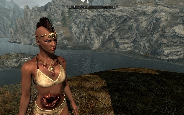 'Wound Test' clothing in TES V Skyrim.