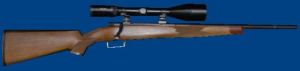 updated hunting rifle