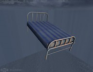 Hospital Bed