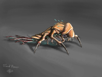 Sand Runner