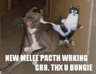 Karate
