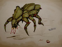 Bug2
