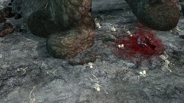 killerrabbit