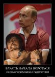 Жгъирчик, Путинко, Медвед