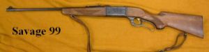Savage99 better gun.