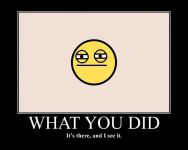 What you did
