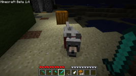 i found a wolf ^^