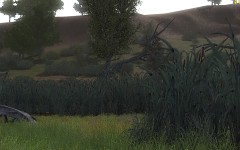 Perpective shots