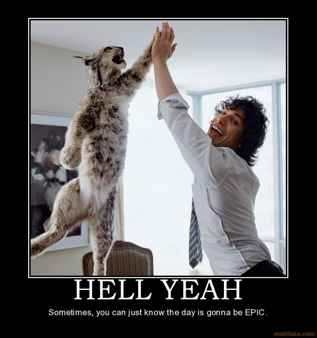 hell-yeah-andy-samberg-cat-high-five-demotivational-poster-.jpg