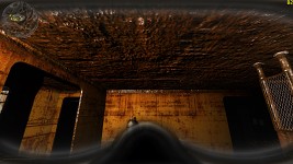 Stalker HUD bug