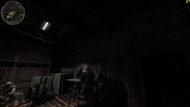 Stalker HUD bug