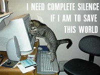 More very funny pictures for your viewing pleasure