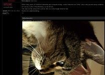 Kitty :(