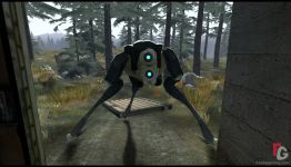 Half Life