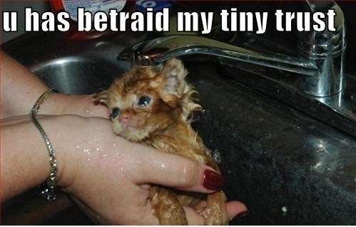 betrayed