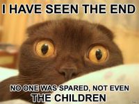 Scary Cat 