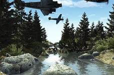 Forest, Overpasing Junkers..