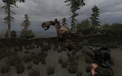 jumping jack giant