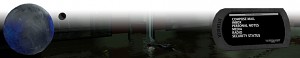 Dissolution Profile Footer