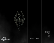 Skyrim problems