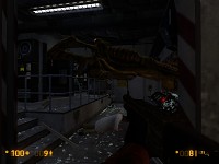 Playing Black Mesa