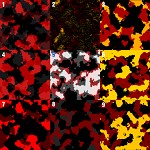 Camoflauge Palette