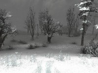 Cordon in winter