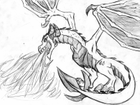 Dragon Sketch
