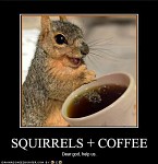 squirrels have discovered coffee