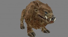 Boar reskin.