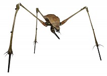 combine from Hl2