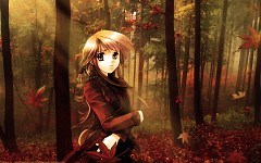 Autumn Forest
