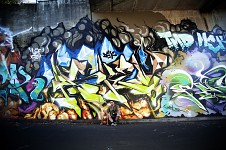 some graffiti pics :p