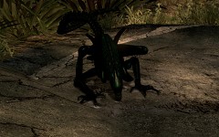 Alien