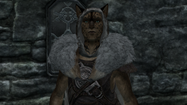Skyrim - Ultra Graphics