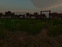 other part of the swamps2