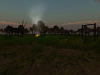 other part of the swamps2