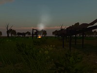 other part of the swamps2