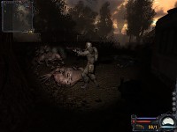 clear sky ,conflict in rookie village