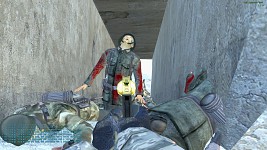 Zombies 360