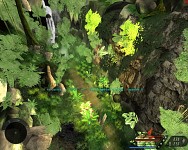 operation clearing