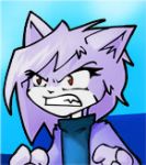 VGCats Aries 4