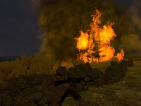 Forest Fire