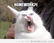 HOMEWORK!?