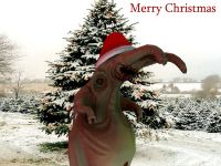 Merry christmas from lolerk