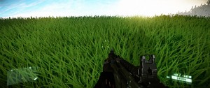 grass
