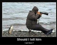 Lol... =D =P XD