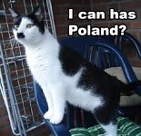 Funny and Awosome