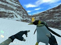 op4ctf_wonderland